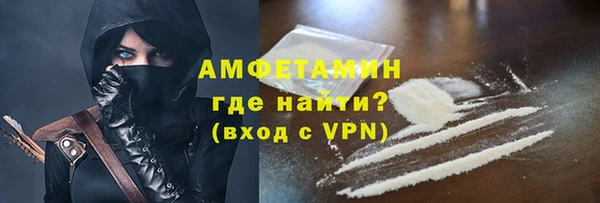 гидра Богородск