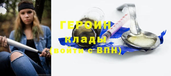 гидра Богородск