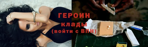 гидра Богородск