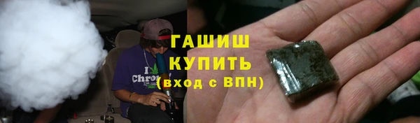 гидра Богородск
