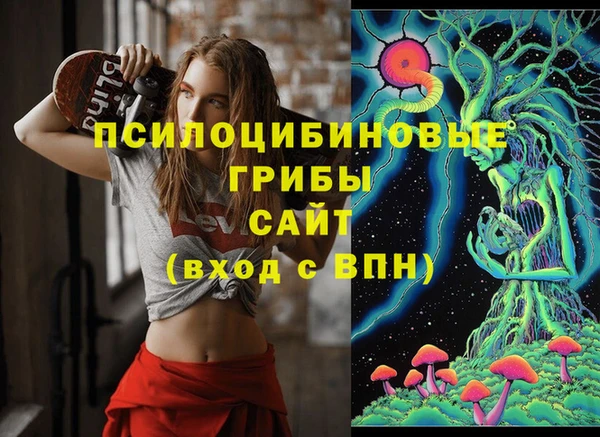 твердый Богородицк