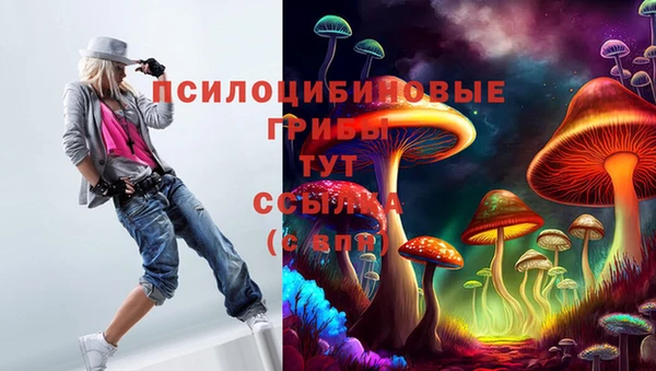твердый Богородицк