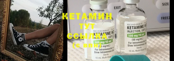 гидра Каменка